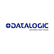 Datalogic spare battery